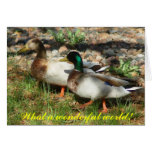 What a wonderful world! greeting cards