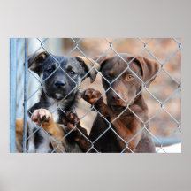 What About Us?  Poster Print