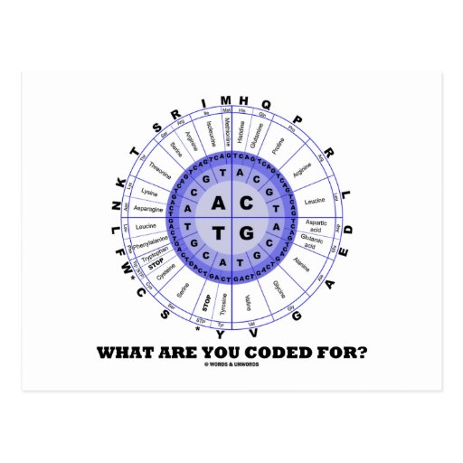 What Are You Coded For? (Amino Acid Wheel) Postcards