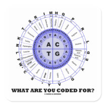 What Are You Coded For? (Amino Acid Wheel)