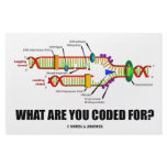 What Are You Coded For? (DNA Replication) Personalized Stationery
