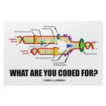 What Are You Coded For? (DNA Replication)