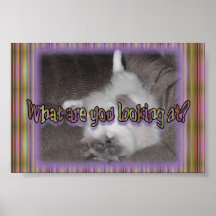 What are you looking at? posters