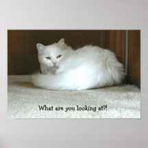 What Are You Looking At?! Print