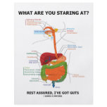 What Are You Staring At Rest Assured I've Got Guts Custom Flyer