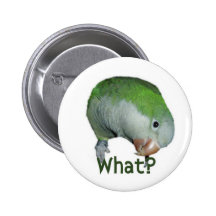 What? Button