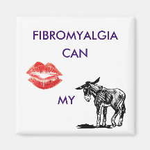 What Can Fibro Do Magnets