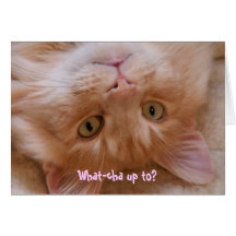 What-cha up to? greeting card