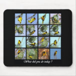 What did you do today - bird and nests mouse pads
