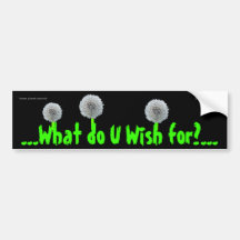 What do you Wish? Bumper Sticker