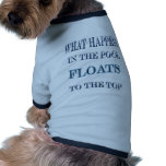 What Happens in the Pool Floats to the Top pet clothing