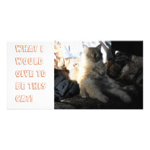 What I would give to be this cat! Custom Photo Card