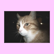 What is he thinking? canvas prints
