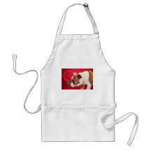 What is this? apron