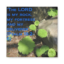 What Lies Beneath the Rocks Q Refrigerator Magnets