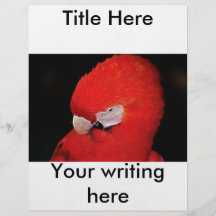 What now little parrot custom flyer