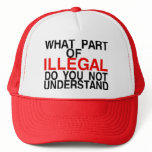WHAT PART OF ILLEGAL