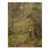 What the Little Girl Saw in the Bush, 1904 postcards