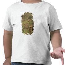 What the Little Girl Saw in the Bush, 1904 t-shirts