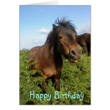 What the Neigh ?!! Collection, Cards
