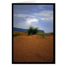 What the storm left behind card
