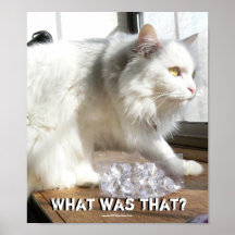 What was That? Print