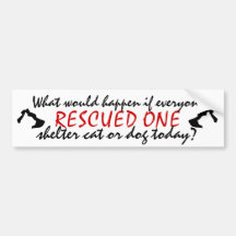 What would happen? bumper sticker