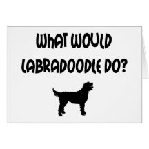 What Would Labradoodle Do? T-shirts & Gifts Greeting Cards