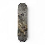 What You Lookin' At? Skateboards