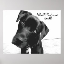 What?! You're not, fixed?! Print