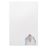 Whatcha writing? stationery paper