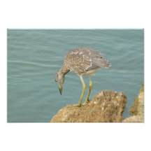what's down there? photo print