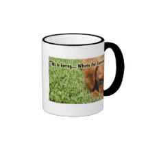 Whats for lunch? mugs