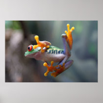 What's going on? Frog