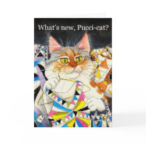 What's new Pucci-cat?