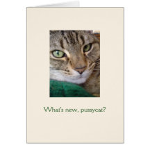 What's new, pussycat? Note Cards