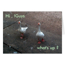 what's up ?, Hi , !Guys Greeting Card