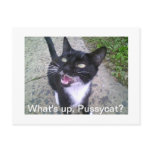 what's up pussycat postcard