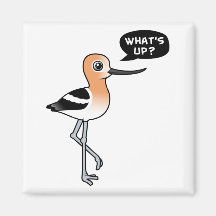 What's Up? Refrigerator Magnets
