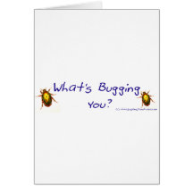 WhatsBuggingYouBumperSticker Card