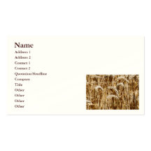 wheat field business card