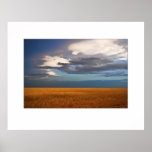 Wheat Field Fine Oil Painting Posters
