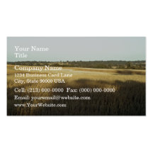 Wheat field with shadows and lights business card template