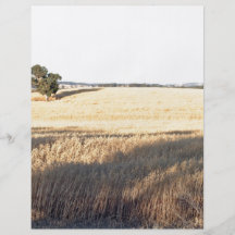 Wheat field with shadows and lights custom flyer