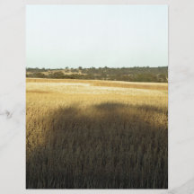 Wheat field with shadows and lights full color flyer