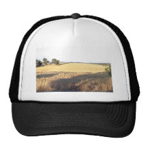 Wheat field with shadows and lights trucker hats