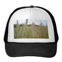 Wheat Plant Seeds Hat