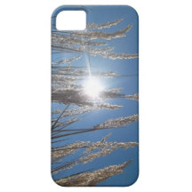 Wheat, Sky, and Sun Iphone Case iPhone 5 Cases
