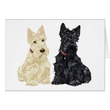 Wheaten and Black Scottish Terriers Greeting Cards
