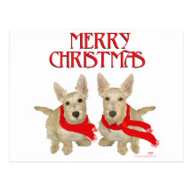 Wheaten Scottish Terrier Chirstmas Postcards